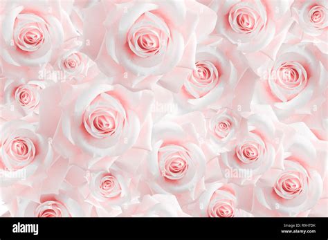 fond decran rose|fond d'ecran rose pastel.